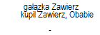 gazka Zawierz kupil Zawierz, Obabie